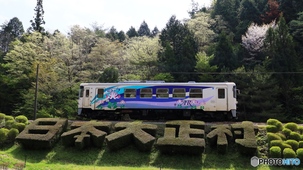 置きピンにて撮影