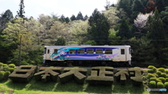 置きピンにて撮影