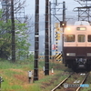 霧の中の回送
