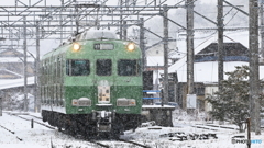 大雪降るなか撮影