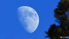 チャンスを逃した；