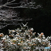 今年ラストＵＰ