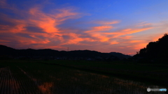 金曜日夕暮れに