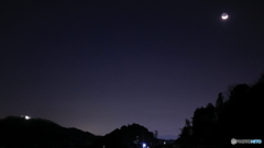 花粉飛んでる；