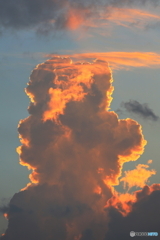 日没前の積乱雲