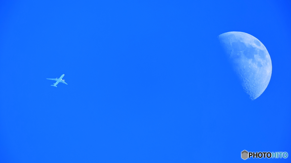 ようやく撮影出来ました