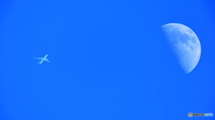 ようやく撮影出来ました