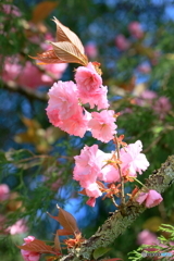 風強し；