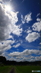 こういう空が好きなんだわ