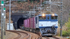 写欲を満たすため（２）