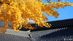 有名撮影地にて