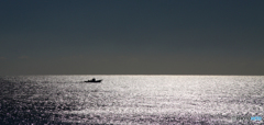 冬の海