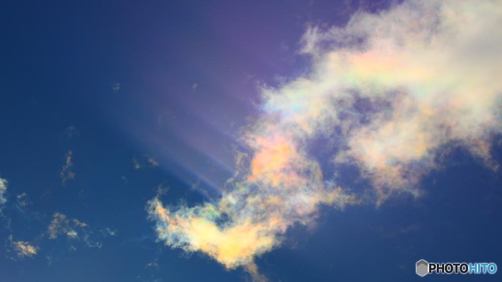 撮影時に気付かず；