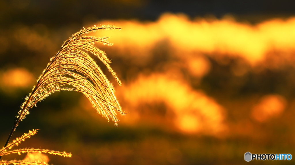 久し振りに土日が晴れて