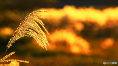 久し振りに土日が晴れて