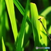 玄関前にて