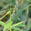 夏休み最終日（２）