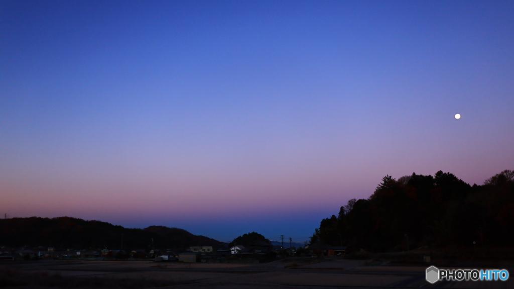 今朝のビーナスベルト