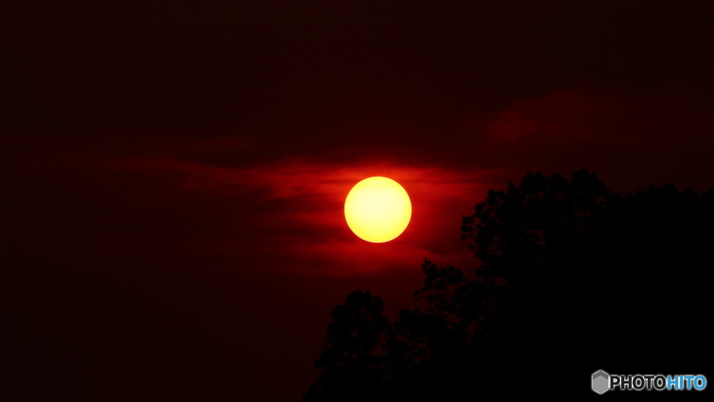 夕陽撮影は難し；
