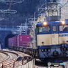 半逆光なれど