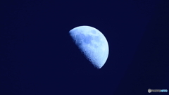 今日は上弦の月