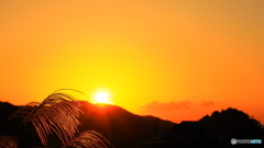 またまた（怒）