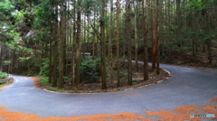 山間路はいいな