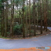 山間路はいいな