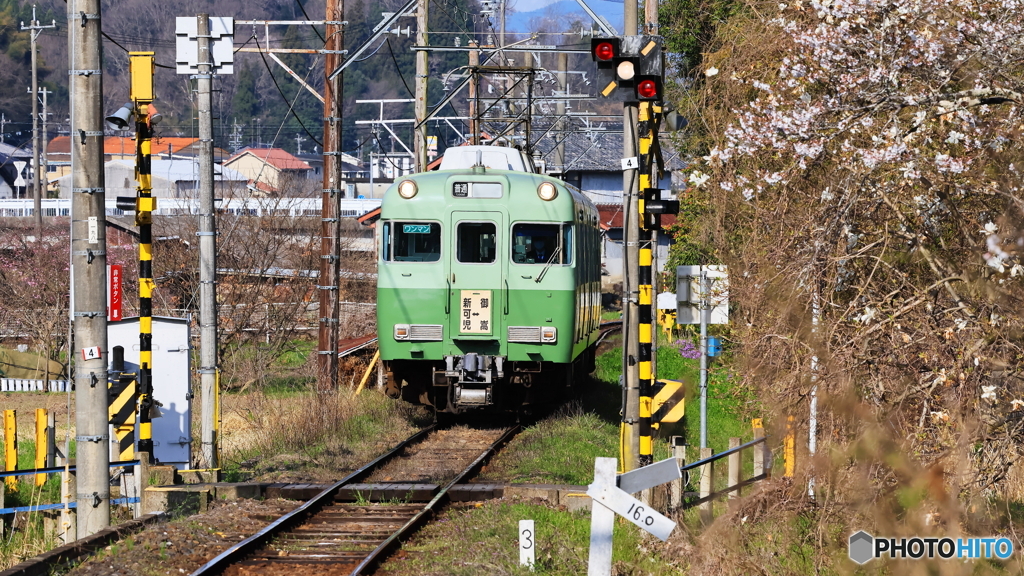 春らしい