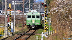 春らしい