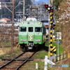 春らしい