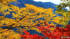 王滝村にて