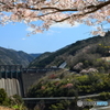 丸山ダム