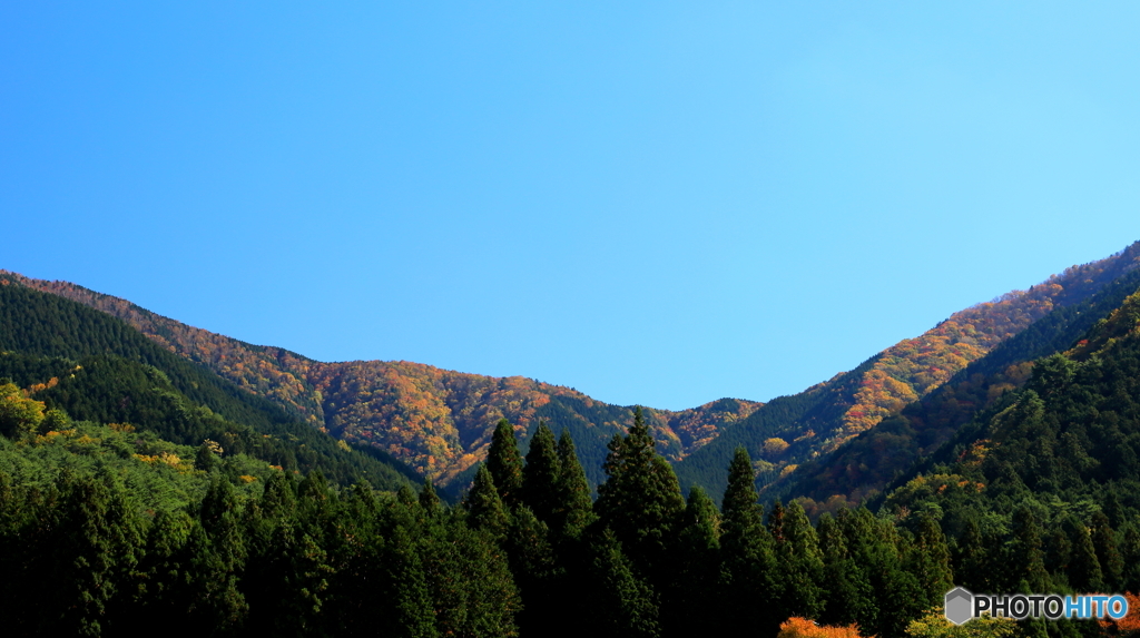 紅葉遠景