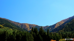紅葉遠景