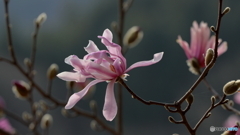 その２