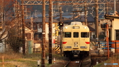 今朝も撮影するも・・・