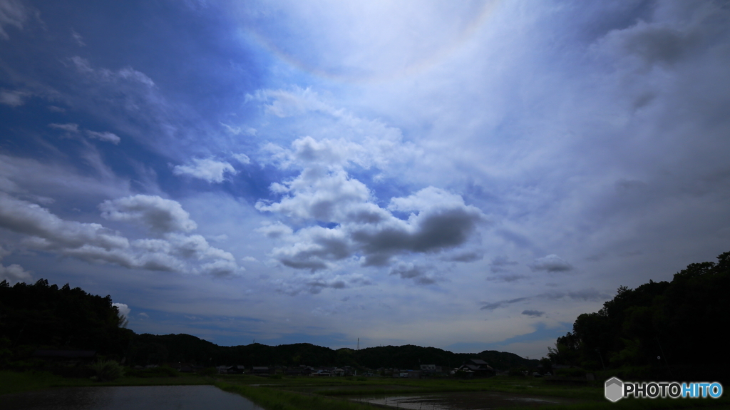 田植えが始まりました