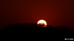 春霞の日の夕陽は