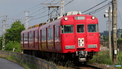 次は順光で