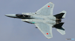 イーグル背中撃ち