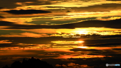 黄金色の夕焼け