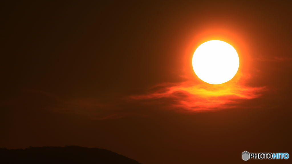 さて、これは・・・