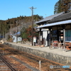 午後の陽光に