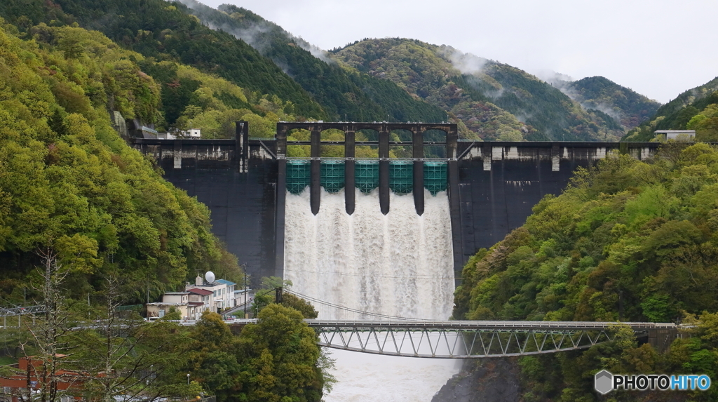 新緑と放流