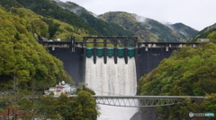 新緑と放流