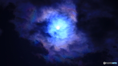 マイブームゆえ