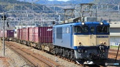 原色はいいな