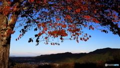 雲間からの陽光により