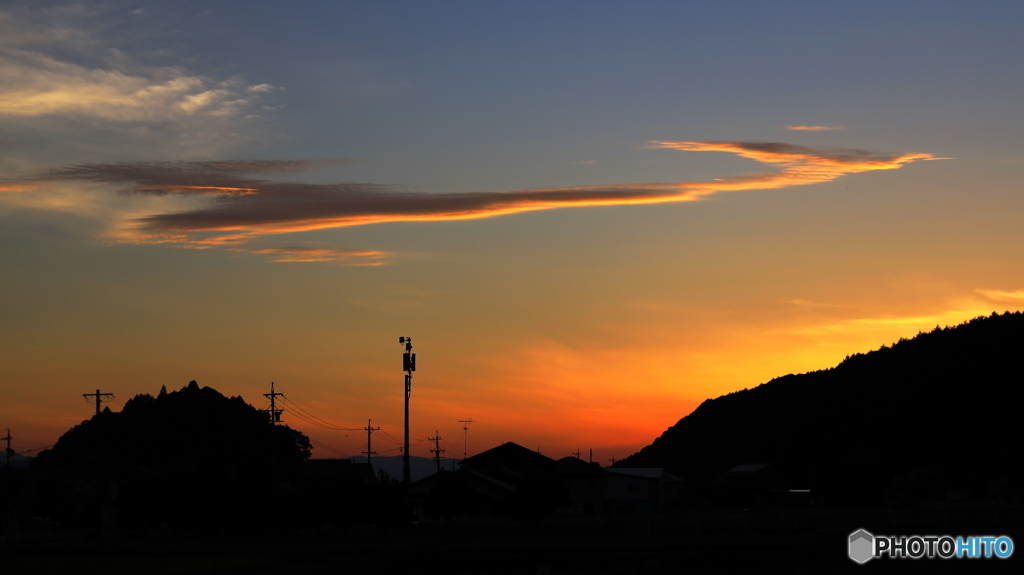 今日も頂きました